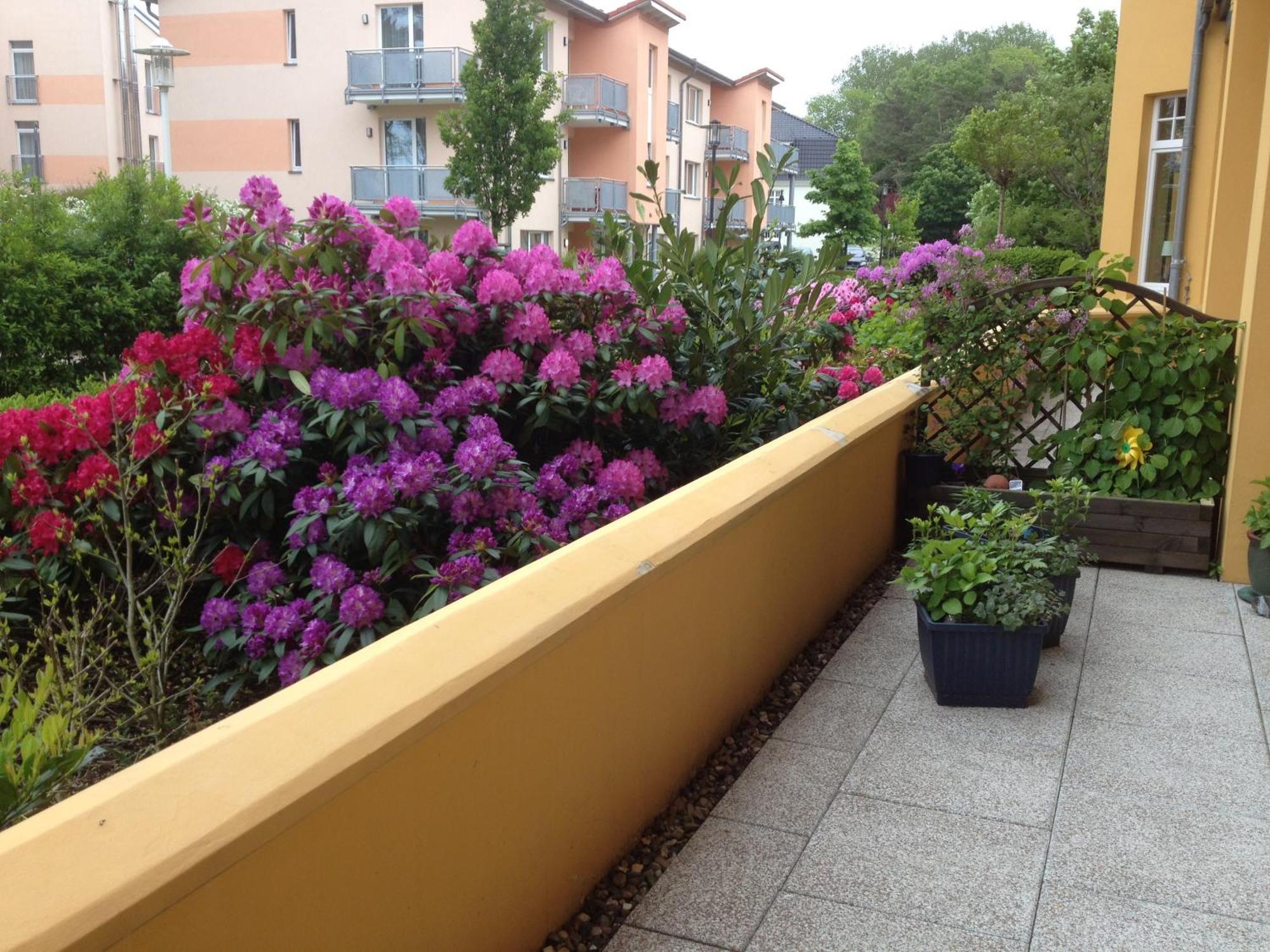 Kuehlungsborn Ferienwohnung Sonnenresidenz Ngoại thất bức ảnh